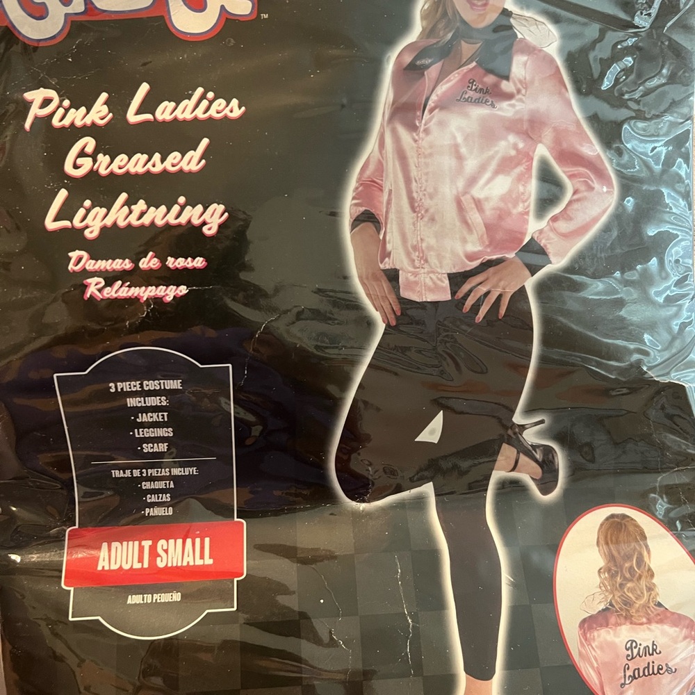 Pink Ladies Greased Lightning Costume